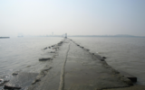上海吴淞口海堤无损检测与评价